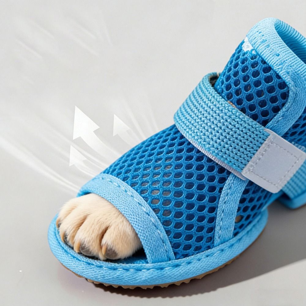 4 قطع أحذية شبكية محمولة للكلا - مراجعة Soft Sole Booties وسعره